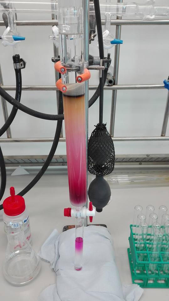Colonna cromatografica: sistema di purificazione dei composti chimici